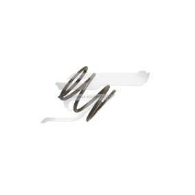 Sig Sauer P-320 Szánakasztó rugó .           ET-142002