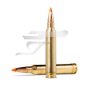 ,300 Win. Norma Tip Strike 20174362 . 11 g 170gr.