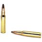 ,308 Win. SPCE SB 11,7g-180gr 2935/2